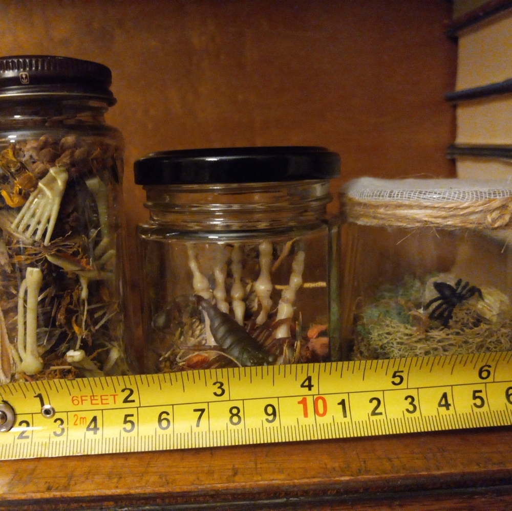 Skeletal specimen jars, set of 3, handmade - Picture 16 of 16